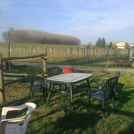 Agriturismo Antica Golena กวสตันญา ภายนอก รูปภาพ