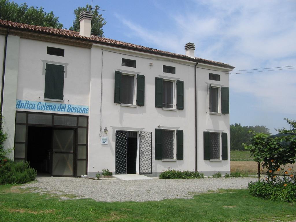 Agriturismo Antica Golena กวสตันญา ภายนอก รูปภาพ